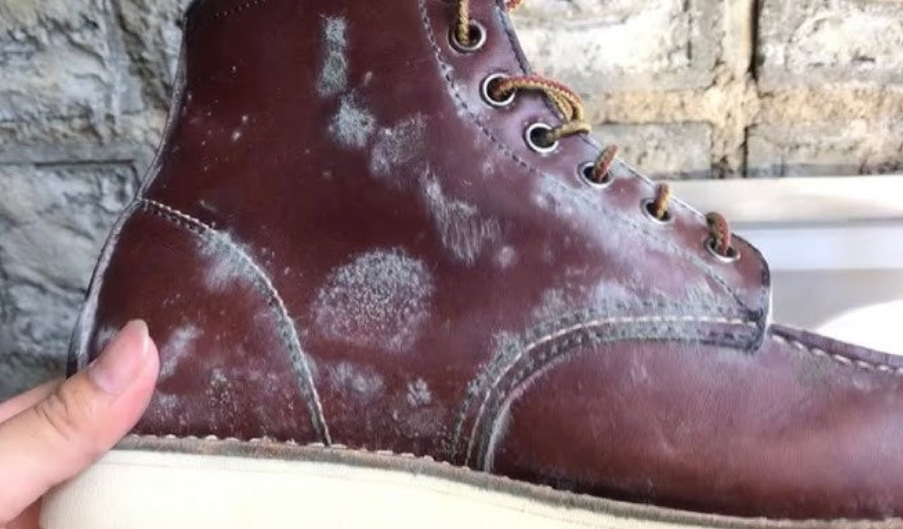 Shoe Care